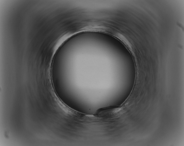 X0000096731344200802121305