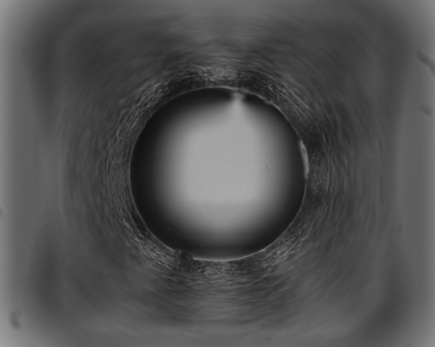 X0000096731345200802121304