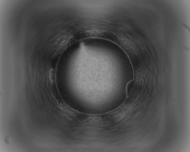 X0000096731346200802121304