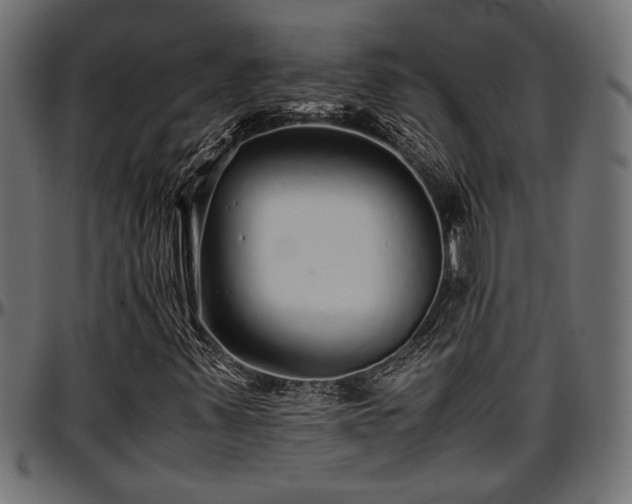 X0000096731347200802121304