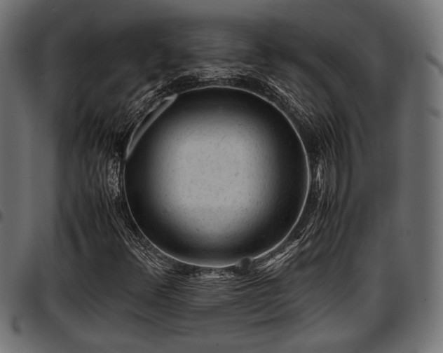 X0000096731348200802121304
