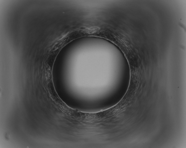 X0000096731349200802121304