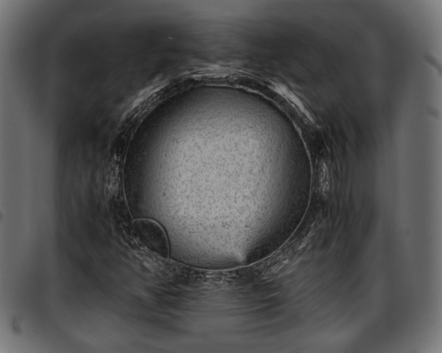 X0000096731350200802121304