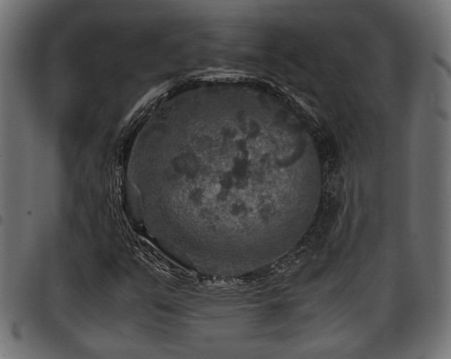 X0000096731351200802121304
