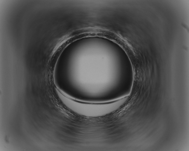 X0000096731352200802121304