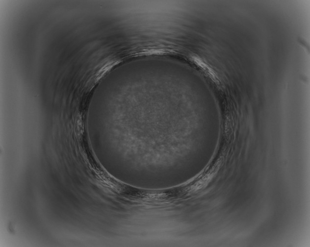 X0000096731353200802121304