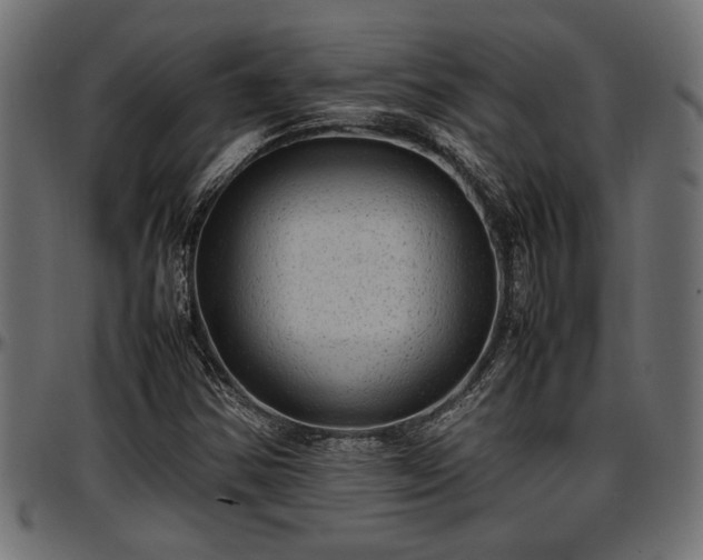 X0000096731354200802121304
