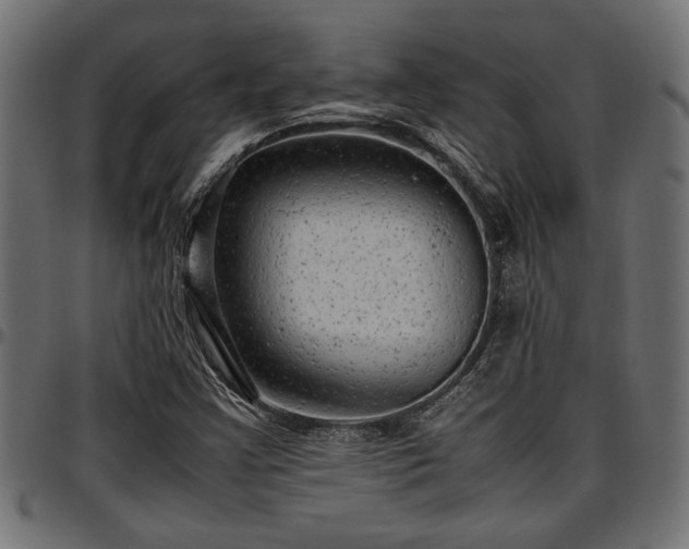 X0000096731355200802121304