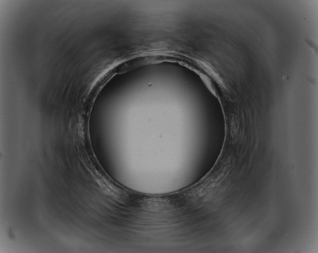 X0000096731356200802121304