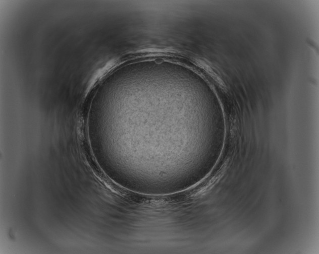 X0000096731357200802121304