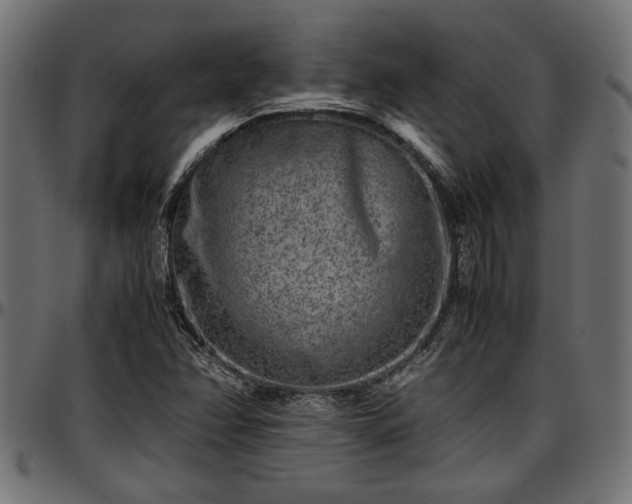X0000096731358200802121304