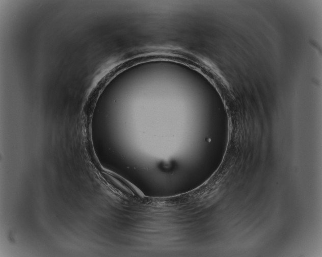 X0000096731360200802121304
