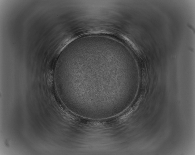 X0000096731361200802121304