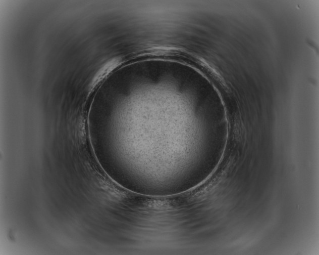 X0000096731362200802121304
