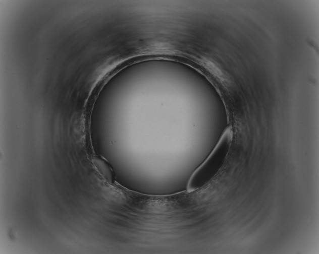 X0000096731364200802121304
