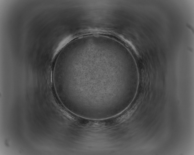 X0000096731365200802121304