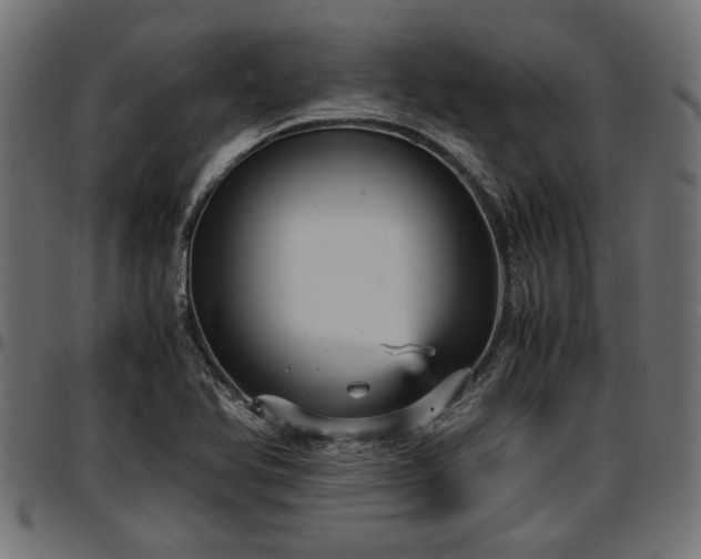 X0000096731366200802121304