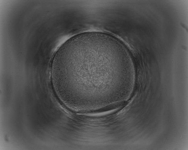 X0000096731367200802121304