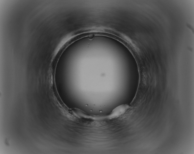 X0000096731368200802121304