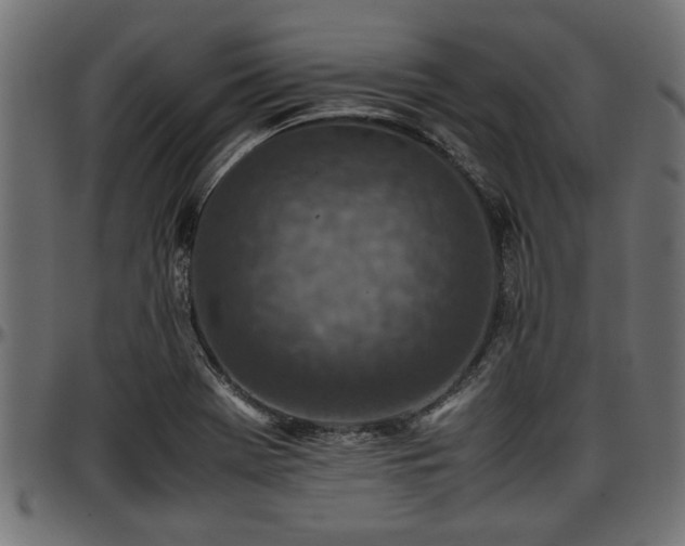 X0000096731369200802121304