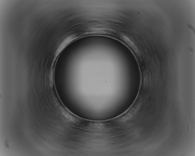 X0000096731370200802121304