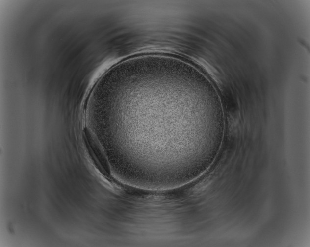 X0000096731371200802121304