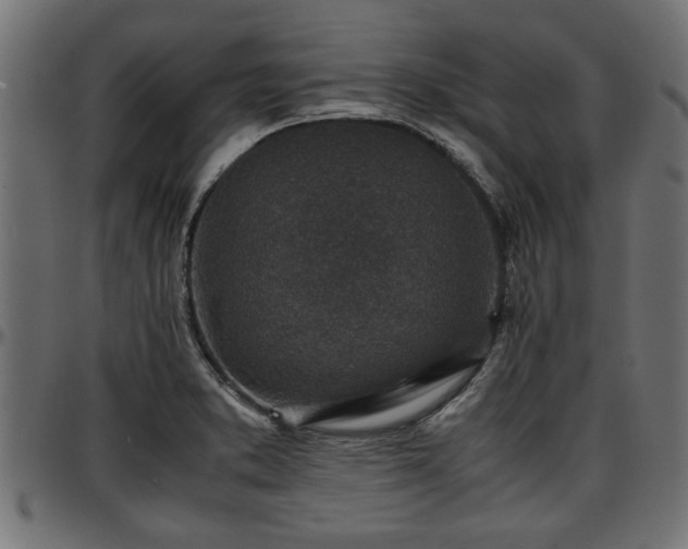 X0000096731373200802121304