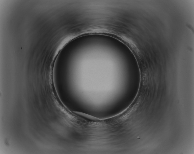 X0000096731374200802121304