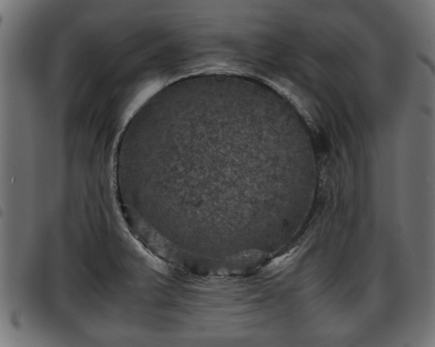 X0000096731375200802121304