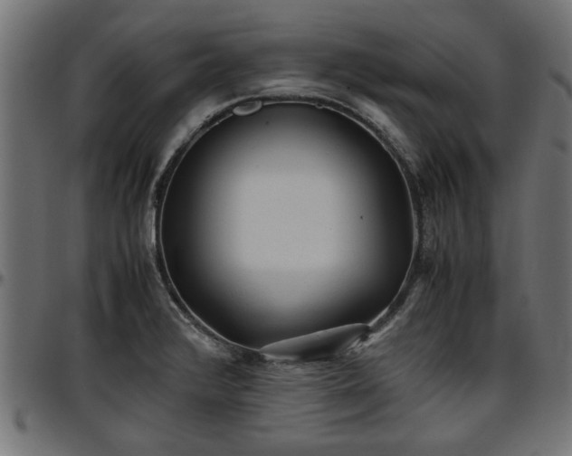 X0000096731376200802121304