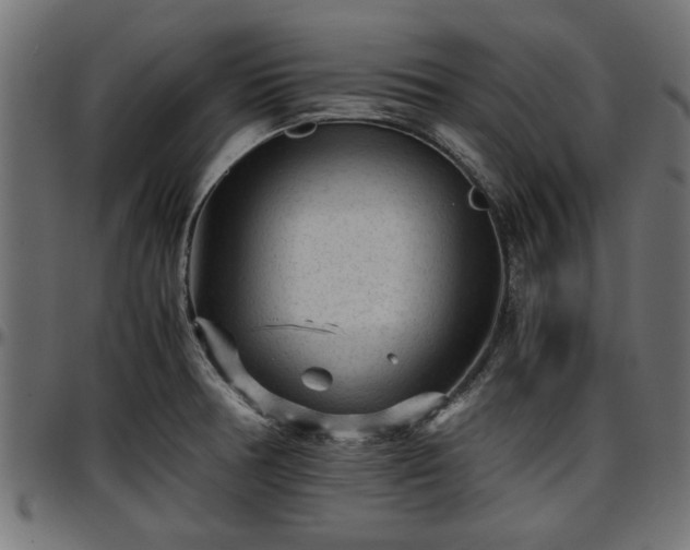 X0000096731378200802121304