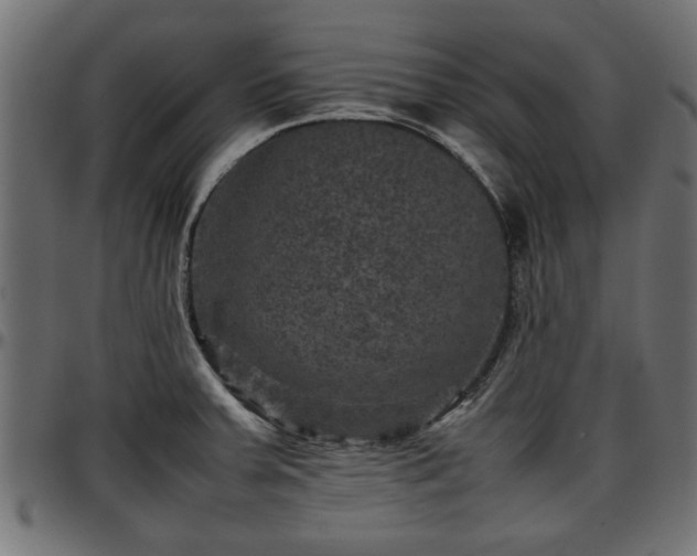 X0000096731379200802121304