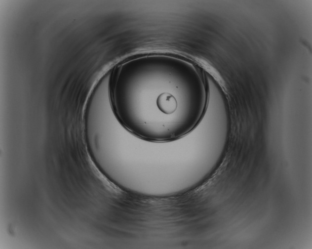 X0000096731380200802121304