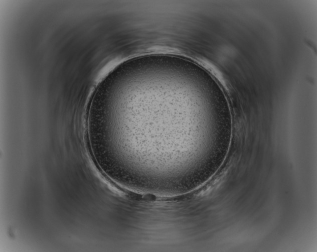 X0000096731381200802121304