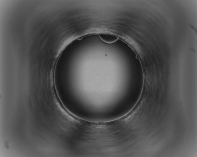 X0000096731382200802121304