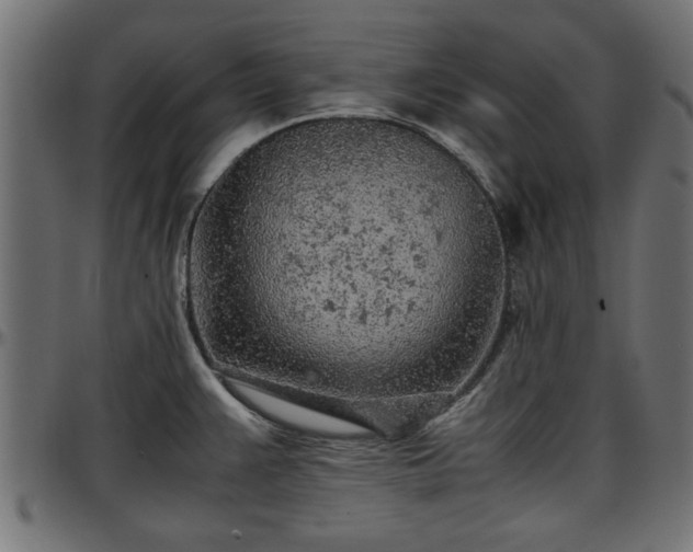 X0000096731383200802121304