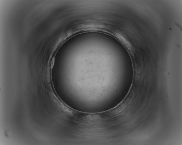 X0000096731384200802121304