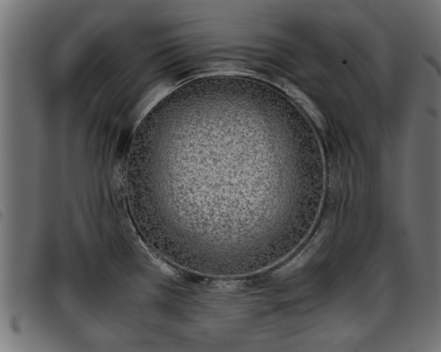 X0000096731385200802121304