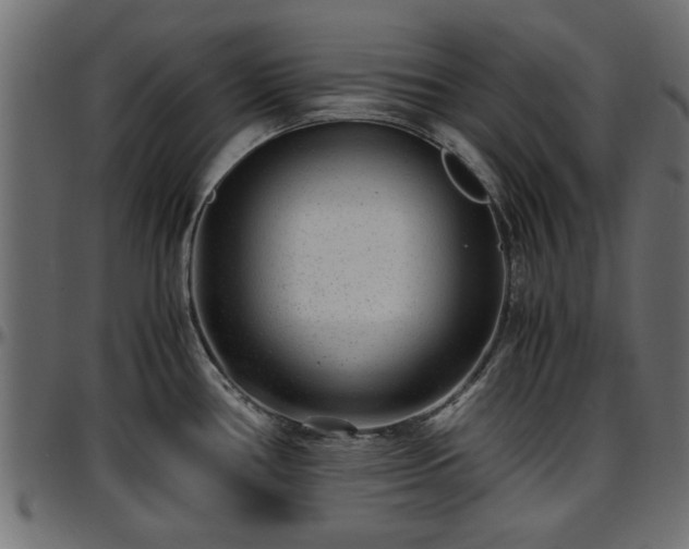 X0000096731386200802121304