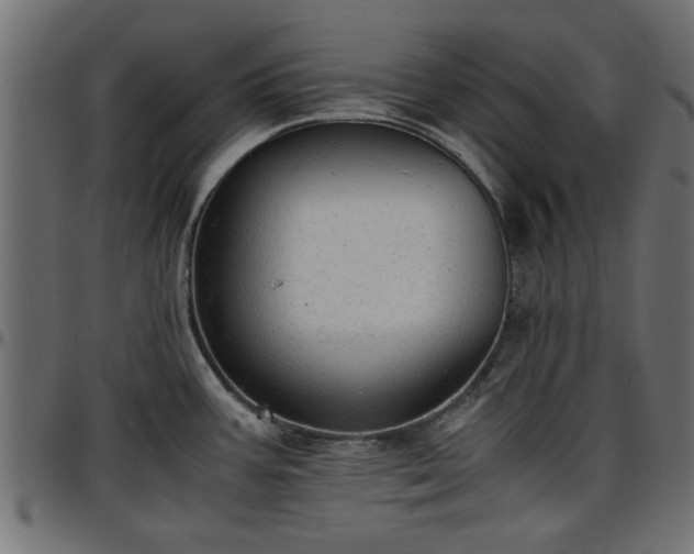 X0000096731387200802121304