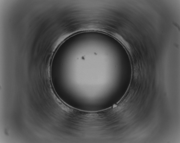 X0000096731388200802121304