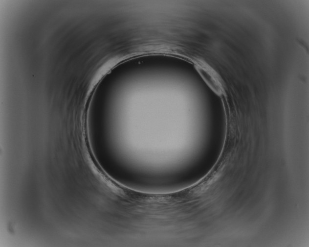 X0000096731389200802121304
