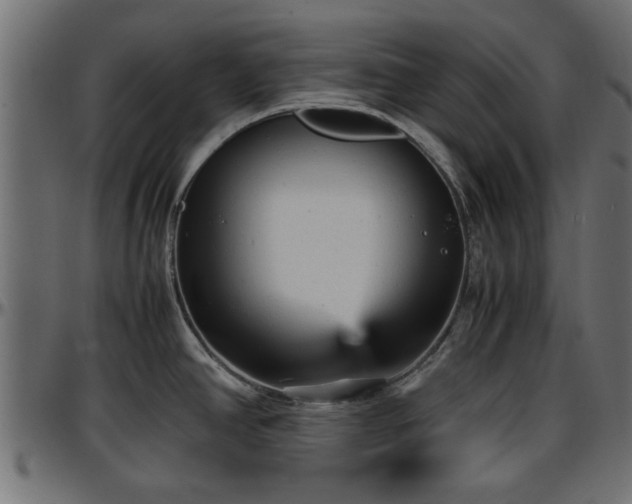 X0000096731390200802121304