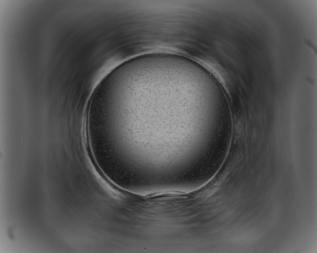 X0000096731391200802121304