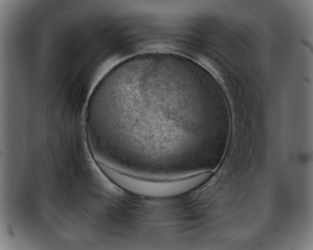 X0000096731392200802121304