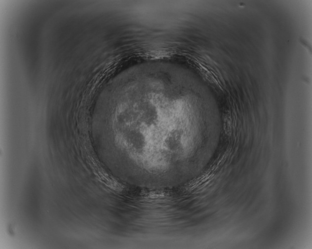 X0000096731393200802121303