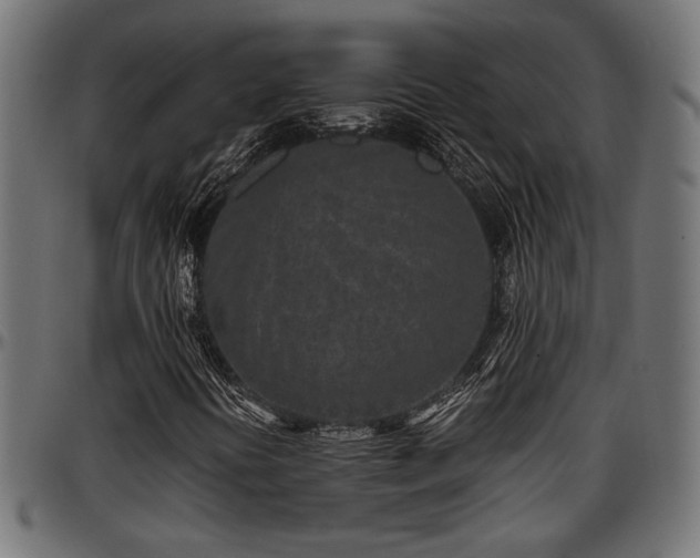 X0000096731394200802121303