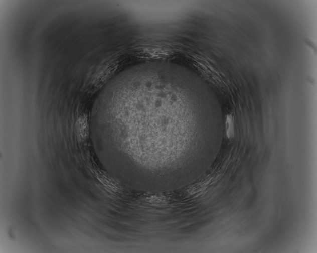 X0000096731395200802121303