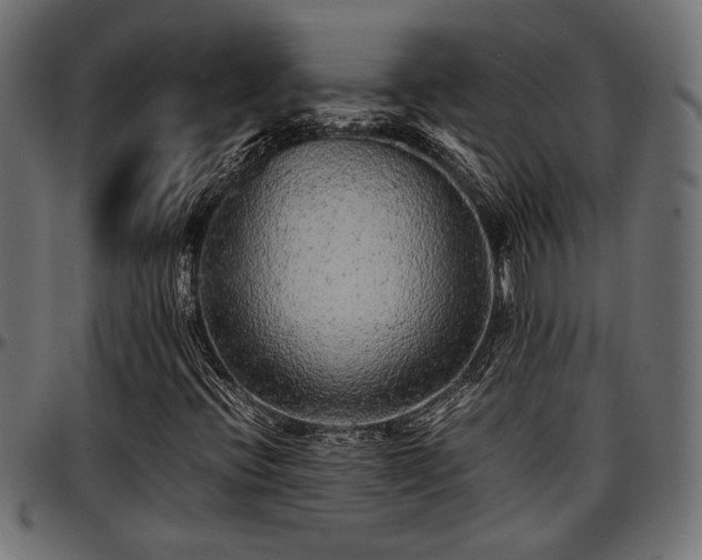 X0000096731396200802121303