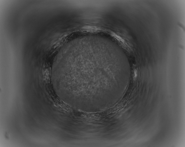 X0000096731397200802121303